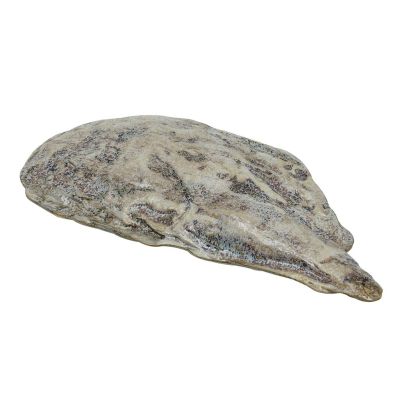 Блюдо овальное 51,8*23,5 см h3,5 см Light Purple Shell Northern Blue Frutti di Mare P.L. [1]