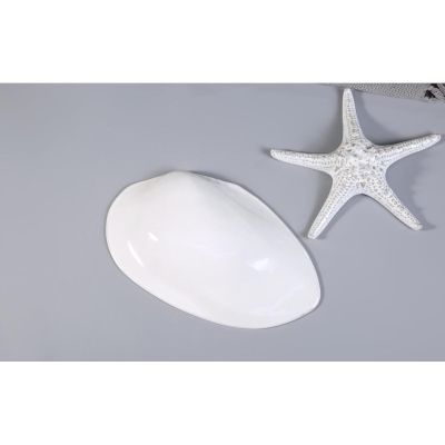 Блюдо овальное 32,5*20 см h6,5 см 100 мл Gray Shell Frutti di Mare P.L. [1]