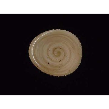 Тарелка 19*17 см Organica Sand P.L. Proff Cuisine [6]