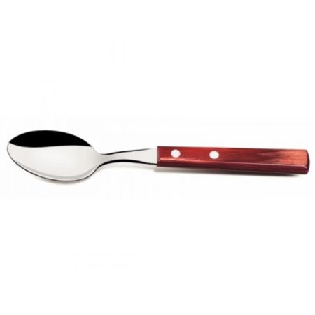 Ложка столовая 19,5 см Polywood Tramontina