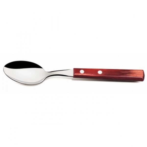 Ложка столовая 19,5 см Polywood Tramontina