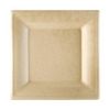 Тарелка квадратная Bionic 20*20*1 см, натуральный цвет, 50 шт, сахарный тростник, Garcia
