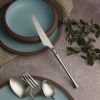 Нож столовый 22,9 см матовое серебро PVD 1920-Silvery P.L. [12]