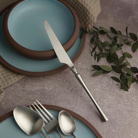 Нож столовый 22,9 см матовое серебро PVD 1920-Silvery P.L. [12]