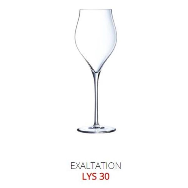 Бокал-флюте для шампанского 300 мл хр. стекло "Эксалтейшн" d 5,9 см h21,1 см Chef&Sommelier [6]