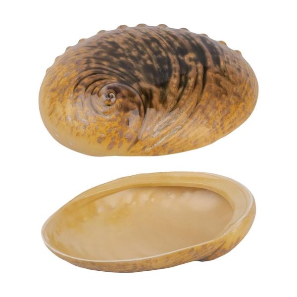 Салатник 365 мл 19*14,5 см h5 см Light Pearl Ammonite Shell Frutti di Mare P.L. [1]