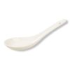 Ложка для мисосупа 20 мл, фарфор P.L. Proff Cuisine [1]