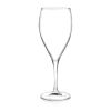 Бокал для вина 650 мл хр. стекло WineDrop d 9,3 см h25 см RCR [6]